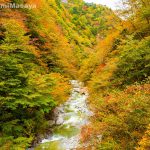 尾白川渓谷
