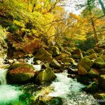 八方ヶ原