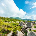 中山展望台