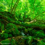 スッカン沢　素廉の滝