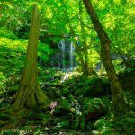 スッカン沢　素廉の滝