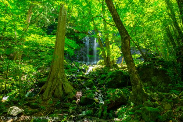 スッカン沢　素廉の滝