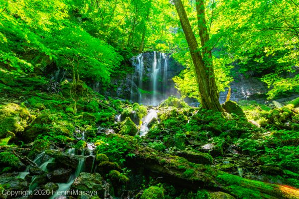 スッカン沢　素廉の滝